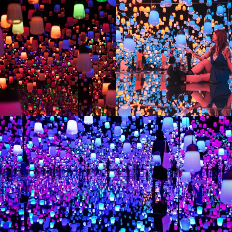 Colorful decoration forest breathing light